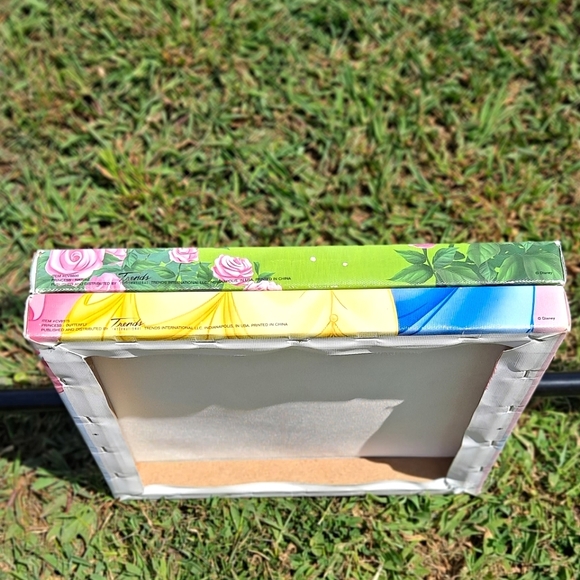 2 Disney Canvases 🌸 1 Princess-Nature And 🦋 1 Princess Butterfly - Picture 5 of 7